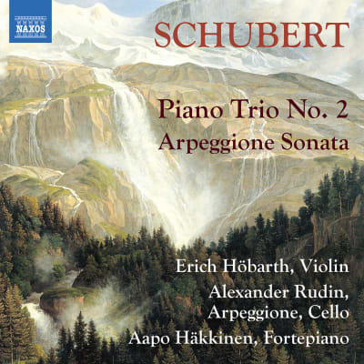Schubert: Arpeggione Sonata / Alexander Rudin & Aapo Häkkinen