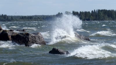 Vågor slår mot strandstenar i hård vind. 