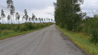En öde väg. På sidorna av vägen syns träd och buskar.