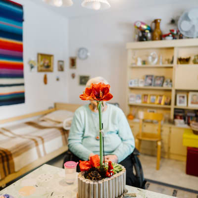 Vanhus istuu kotonaan pyörätuolissa ja hänen kasvonsa peittyvät pöydällä olevan kukan taakse.