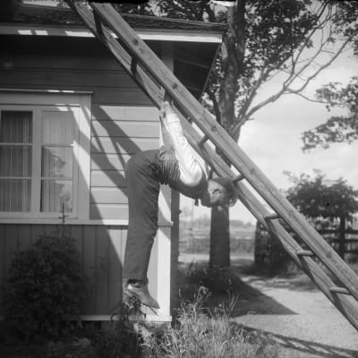 En man leker leken "flå katt", där man ska hoppa upp och hålla i en stege underifrån, och sedan hoppa ett steg neråt i taget utan att röra marken emellan. Bilden är tagen 1931 i Ingå, Lill-Breds.