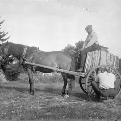 En man klamrar sig fast i ett kärrhjul som hör till en hästdragen kärra. Bilden är tagen 1930 i Sund, Tranvik, Åland.
