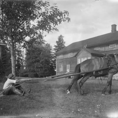En man drar i ett rep som är fast i en häst. Bilden är tagen 1930 i Sund, Åland.