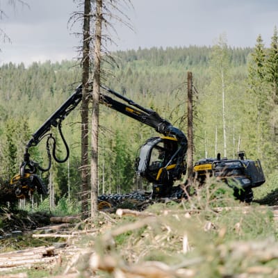 Skogsmaskin jobbar med att lyfta stockar.