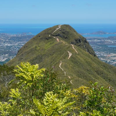 Bergstoppen Malaoui i Nya Kaledonien. Stilla Oceanen och huvudstaden Nouméa i bakgrunden