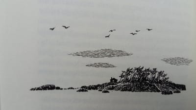 teckning av ö av Tove Jansson