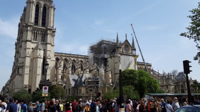 Bild av Notre-Dame