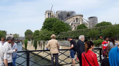 Tusentals besökare vallfärdade till Notre-Dame för att på nära håll se henne utan tak.