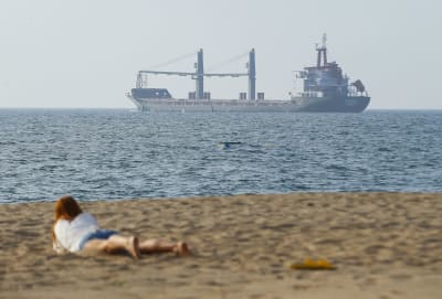 En person ligger på en strand, i bakgrunden syns ett stort fartyg ute på vattnet.