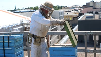 Bjarne Bruce inspekterar en bikupa på Savoys tak. 