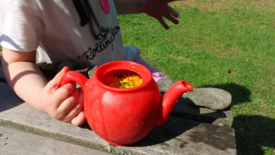 En röd leksaksvattenkanna med vatten och maskrosor i. En barnhand håller i kannan.