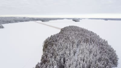 Ön Honkinen är skogsbeklädd och omgiven av Lammasjärvis isar.