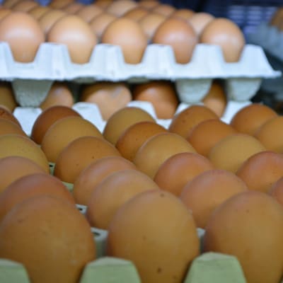 Ägg.