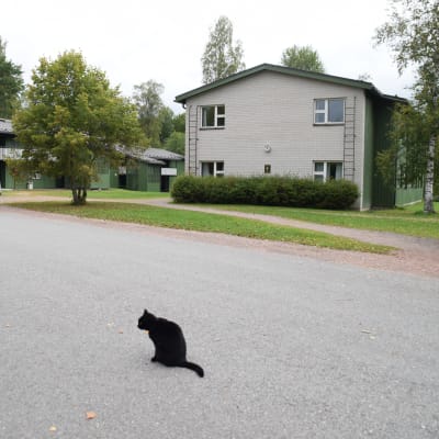 Västra Nylands folkhögskolas internat i Karis.