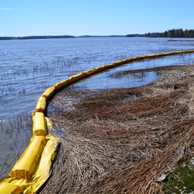 Kloakvatten har läckt ut i havet i Hammars i Borgå våren 2018