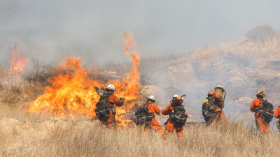 Brandmän vid stora lågor som slår upp på en slätt med högt torrt gräs.