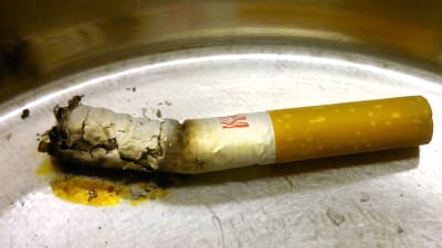 En slocknat cigarrett i askkopp.
