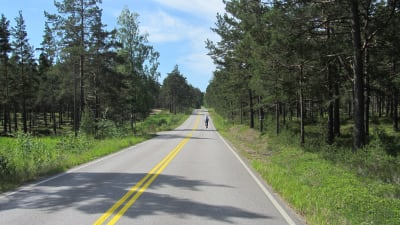 Vackra vyer från Lappvik till Hangö.