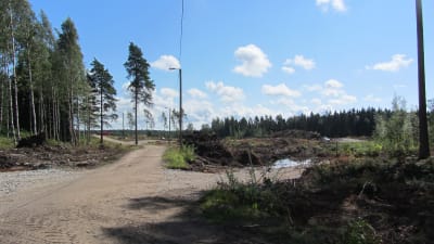 Sommaren 2012 har träden fått ge vika på Majberget. Om något år finns här ett färdigt bostadsområde.