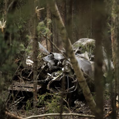 Osa pudonneesta Hawkin rungosta metsän keskellä.