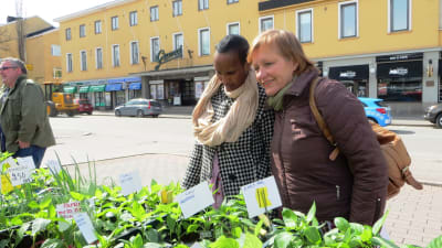 Sabrina Kuusiniemi och Marianne Green beundrar örtplantor på Borgå torg inför Möjligheternas torg på Kulturhuset Grand