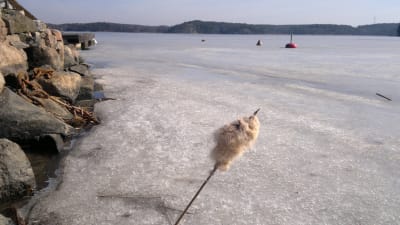 Isen ligger fortfarande kvar vid Ragnar Antons semesterby i Elmdal