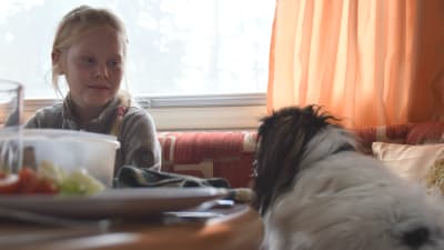 En hund och en flicka tittar på varandra vid ett matbord i en husvagn.