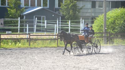 Häst, vagn och två personer i vagnen på sandplan, damm i luften.