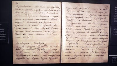 Tsar Nikolaj II dagbokstanteckning