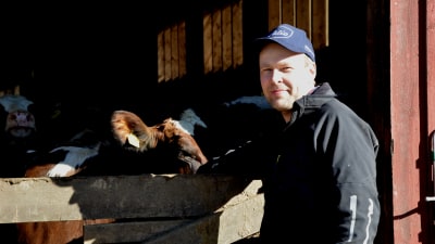 Bjarne Mara står framför en öppning till sin ladugård, bakom staketet står flera kor.