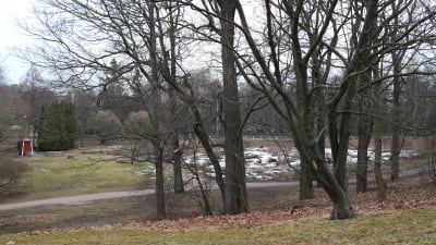Lappvikens anställda fick en plätt att odla på i trädgården.
