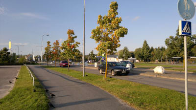 Två bilar åker längs Strandvägen en solig höstdag då träden börjar bli gulare och rödare.