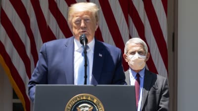 Vita husets rådgivare Anthony Fauci bär ansiktsskydd i motsats till sin chef Donald Trump.