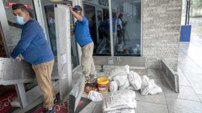 Arbetstagare installerar paneler för att skydda ett apotek i Miami beach.