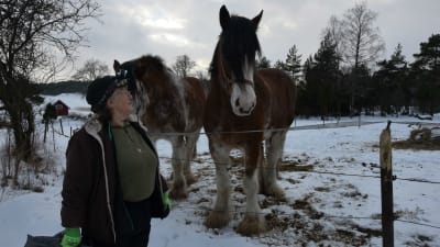 kvinna invid hästar i hage