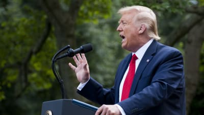 President Donald Trump står och talar vid ett podium. Han gestikulerar vilt och har röd slips.