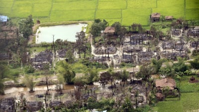 Den burmesiska armén anklagar militanta rohingyer för att ha massakrerat 45 hinduer och för att ha bränt deras by i Rakhine