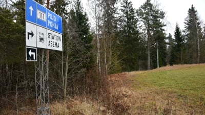 vägskylt och natur
