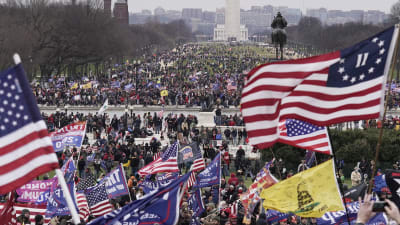 Ett folkhav av människor utanför Capitolium i USA som viftar med Trumpflaggor och USA:s flagga.