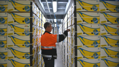 Man mittemellan bananlådor