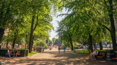 Esplanadparken under en sommardag.'