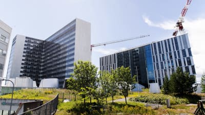 Bild på Mejlans tornsjukhus på sommaren.
