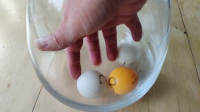En hand sträcks ner i en glasburk med tre pingisbollar.