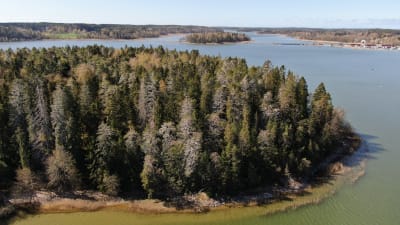 Ön Högen i Pargas