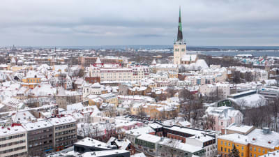 Kaupunkinäkymä ylhäältä, Tallinnan vanha kaupunki, Toompean linna