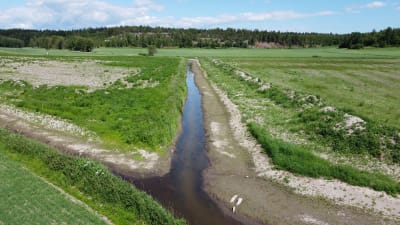 Ett dike vid en grön åker. Blå himmel och skog i bakgrunden.