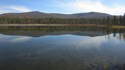 Träsklandskap i Urho Kekkonens nationalpark.