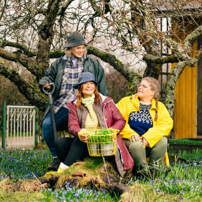 Kädet multaan -ohjelman juontajat Inkeri Alatalo, Taina Suonio ja Enni Koistinen istuvat puun edessä.