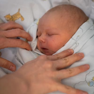 Vastasyntynyt poikavauva nukkuu peittojen sisällä sairaalassa.