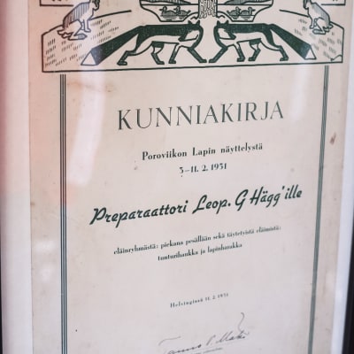 Diplom med texten "Kunniakirja Poroviikon Lapin näyttelystä 5.-11.2.1951 Leopold g. Hägg'ille eläinryhmästä: piekana pesällään sekä täytetyistä eläimistä: tunturihaukka ja lapinharakka."